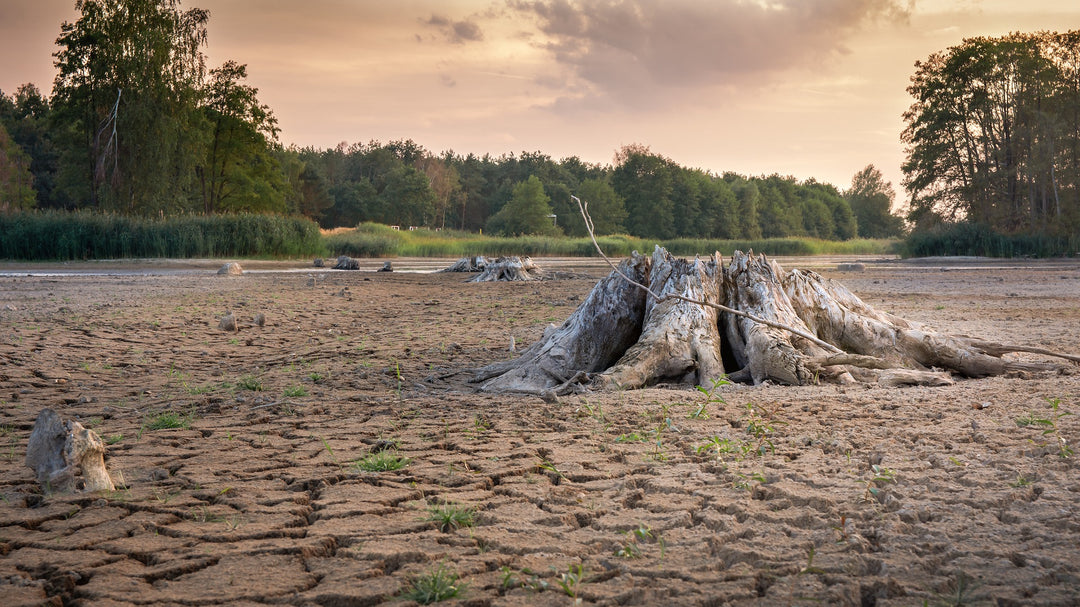 COMO CUIDAR EL AGUA EN CRISIS y SIEMPRE