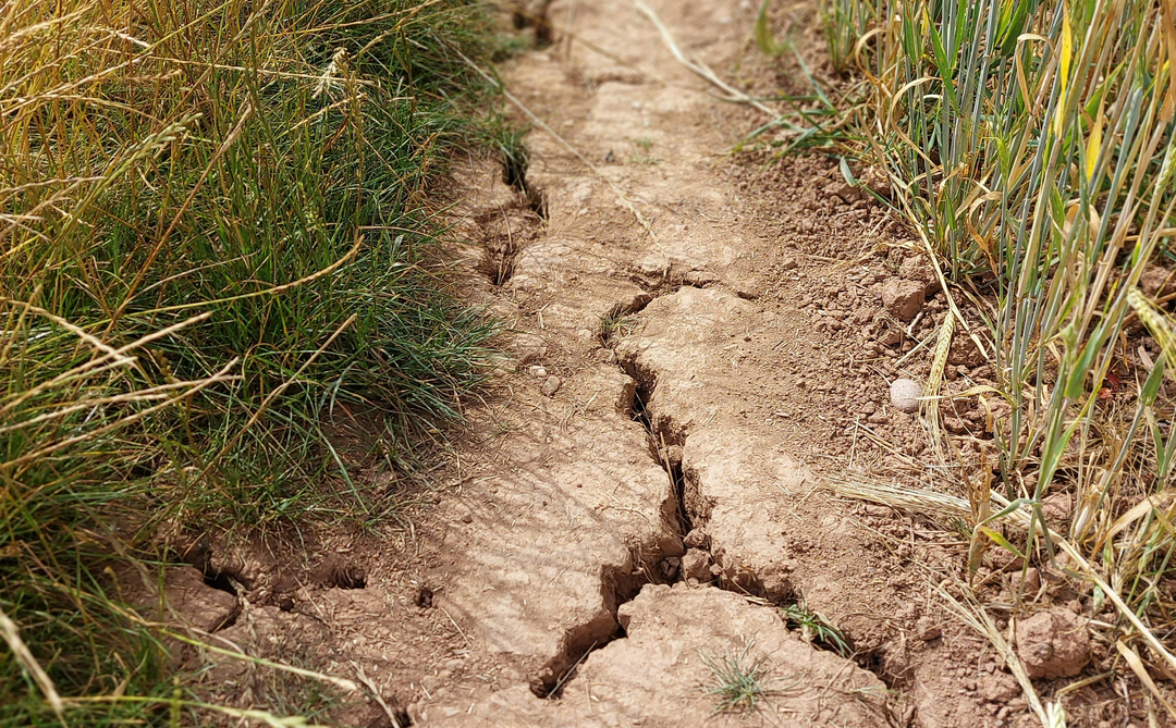 EL DESAFÍO DE LA ESCASEZ DE AGUA Y TECNOLOGÍAS MÁS EFICIENTES