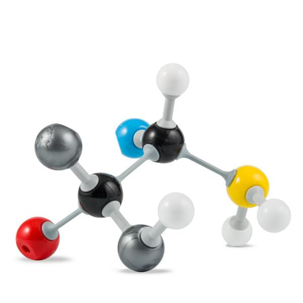 Modelo Molecular Orgánico
