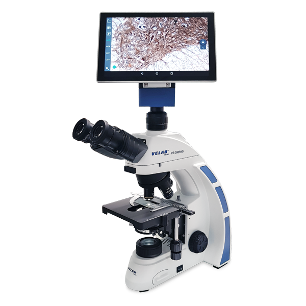 Microscopio Biológico Digital Profesional con Tablet integrada VE-300PAD